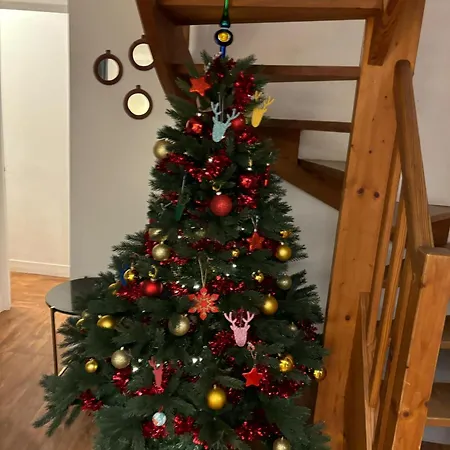 Apartment Duplex Beauregard - Calme & Proche De La Dieppe